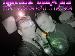 house_stylaz photo # 4