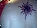 Hurley999 photo # 7