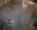 Hutch830 photo # 8