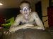 iamdustinty photo # 2
