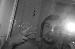 iNeRTiaTiC photo # 7