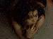 Italian_Diva photo # 9