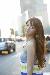ivyrosesilva photo # 2
