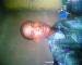 jackel1 photo # 1