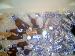 jamalwd photo # 4