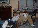 jamv24 photo # 3