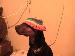 JBLuv311 photo # 5