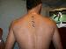 jdavid171 photo # 2