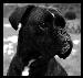 Jerome92 photo # 6