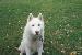 Jesse_2194 photo # 6