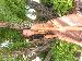 JessieJ71 photo # 4