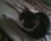 jeffry6 photo # 4