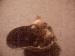 jerry8789 photo # 2