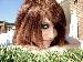jessxo photo # 4