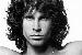 JimMorrison75 photo # 1