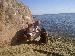 JOZSEF photo # 1