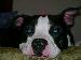 Joey444 photo # 1