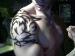 JonathanBC photo # 1