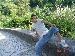 joao photo # 4