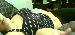 JustSpankme photo #16