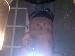 Justlivin21 photo # 1