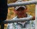 juanchavez16 photo # 2