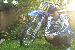 justy87 photo # 3