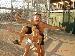 K7_1968 photo # 10