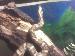 KawkSukr_420 photo # 3