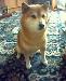Kempy photo # 1