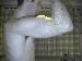 kinger29188 photo # 1
