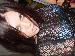 Kryssa photo # 8
