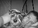 Kuzicky14 photo # 1