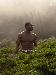 LA_Mandingo photo # 1