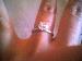 LadyFingers photo # 3