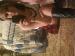 laceylou photo # 6
