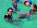 latindolphin photo # 8