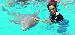 latindolphin photo # 1