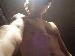 lawson22 photo # 1