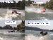 LiquidForce photo # 9