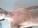 likesfun photo # 1