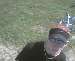 link2000 photo # 9