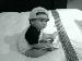 little_one photo # 10