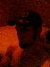 LostSouls666 photo # 3