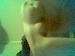 looney_2006 photo # 4