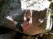 Lurch_Legs photo # 7