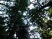 Lurch_Legs photo # 8