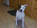 luckycdf119 photo # 5