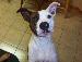 luckycdf119 photo # 6