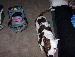 luckycdf119 photo # 7
